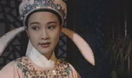 窦娥冤传奇电视剧全集,悲情女子窦娥的复仇之路